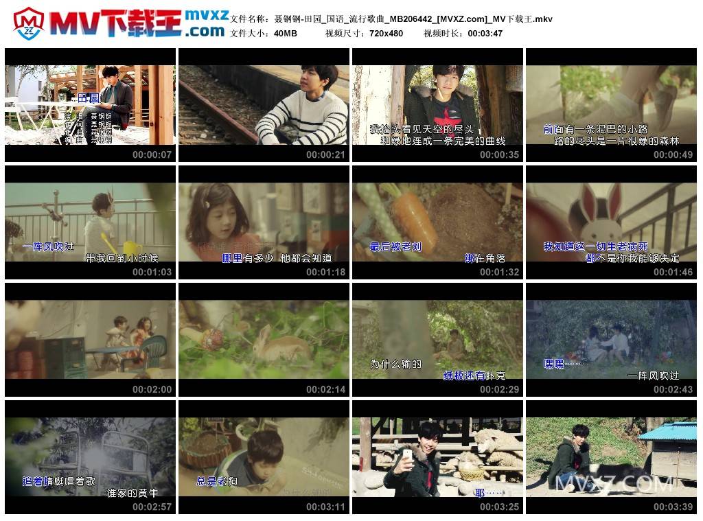 聂钢钢-田园_国语_流行歌曲_MB206442